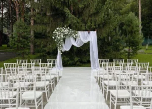 invitatii digitale online la nunta care spun da